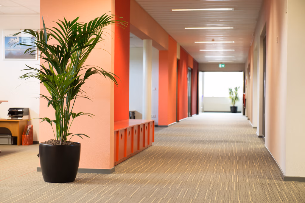 Een moderne kerkhal met roze en rode muren, een zwarte bloempot met een groene plant en een lichte tapijtvloer.